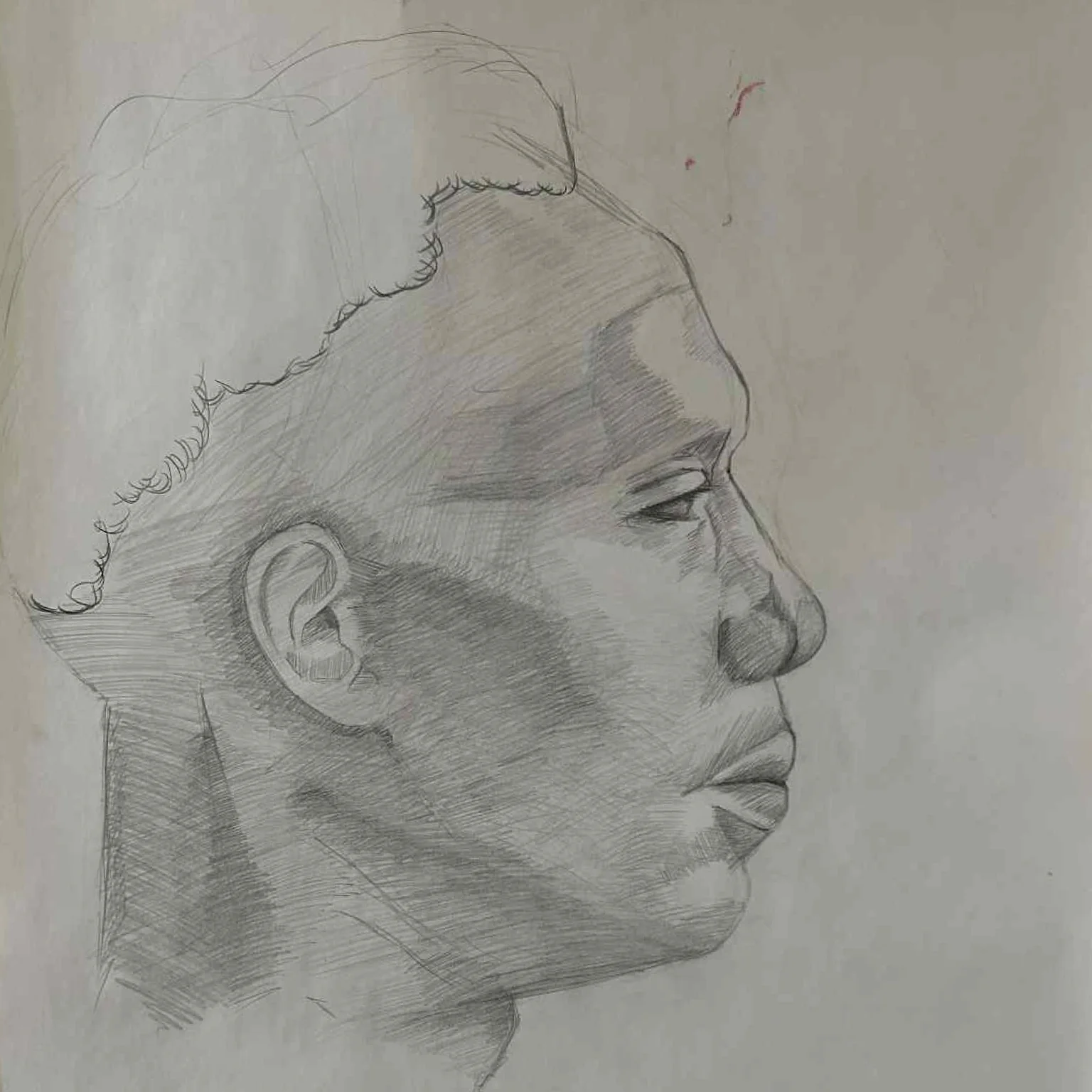 Pencil Portrait