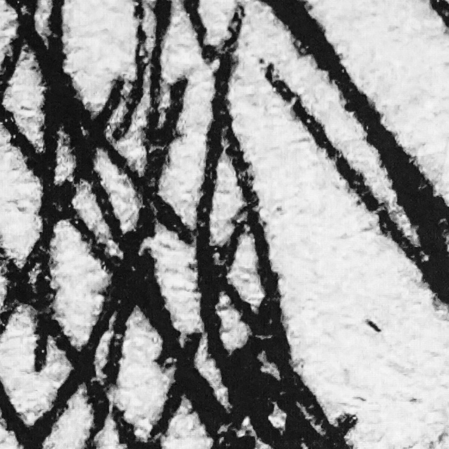 Designing Paths: Anika Aggarwal Associate RGD on her journey as an immigrant designer