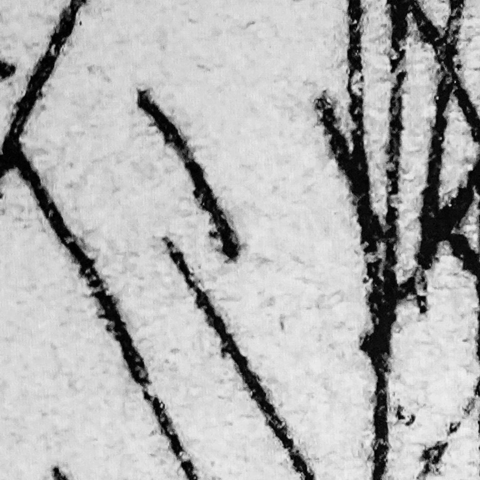 Designing Paths: Giovanni Ferretti shares his story as an immigrant designer